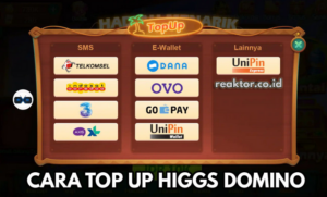 Cara Top Up Higgs Domino 3000 Lengkap Mudah dan Praktis